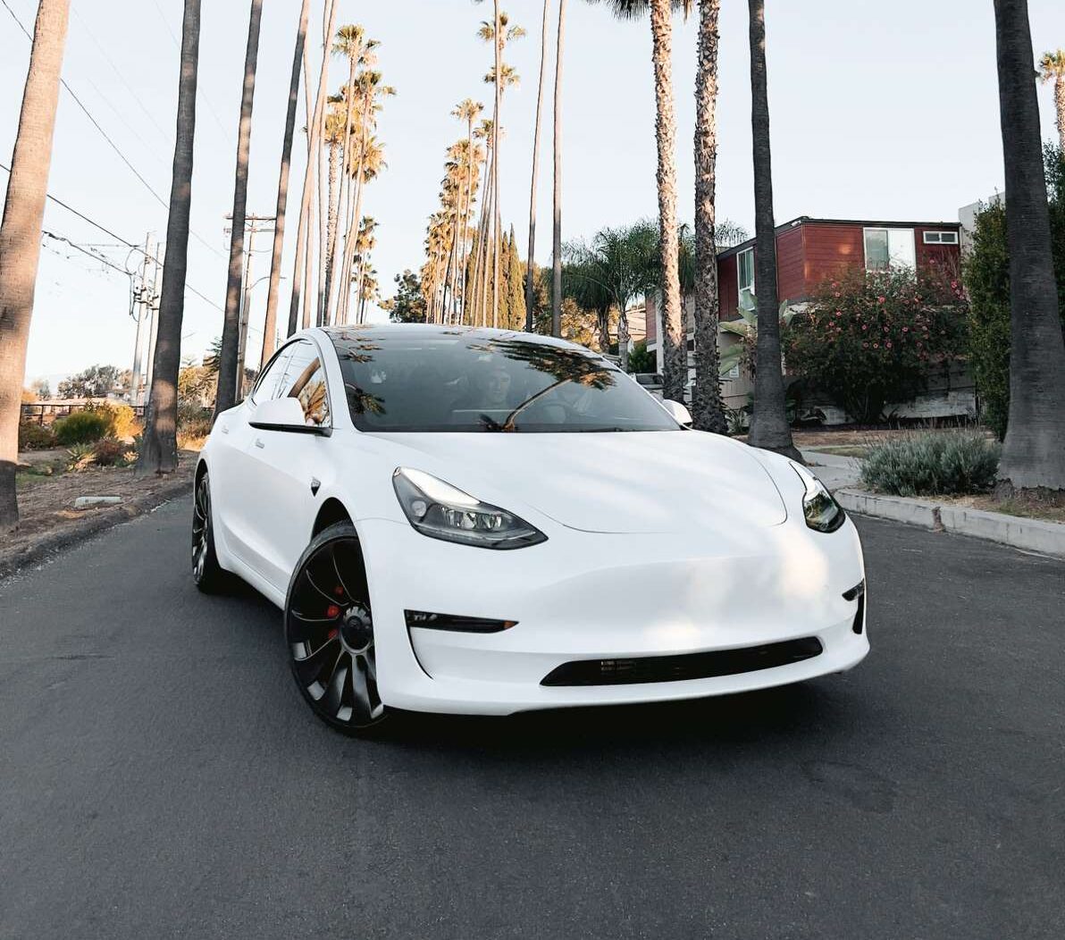 Tesla Model Y window tinting in Fraser, MI