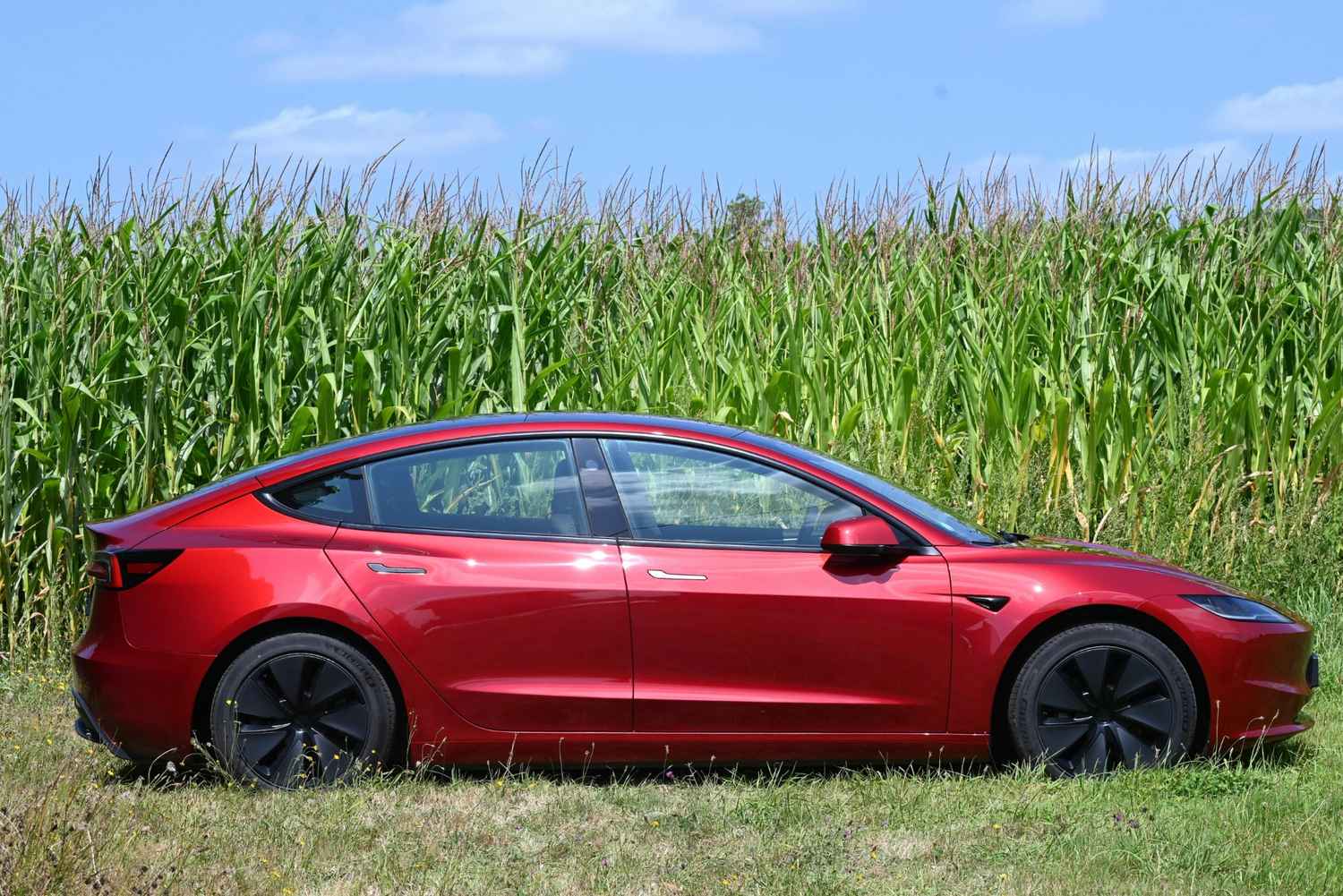 Tesla Model 3 window tinting in Fraser, MI