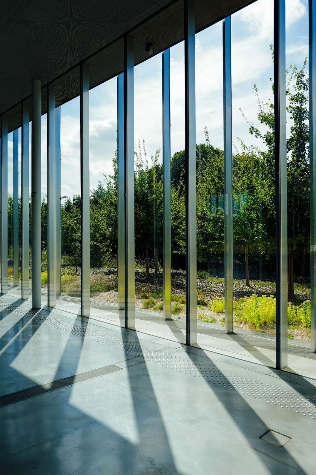 image of floor-to-ceiling glass windows