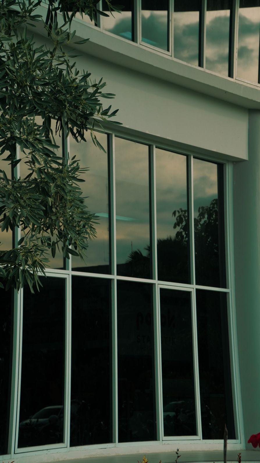 Privacy window film installed on commercial building
