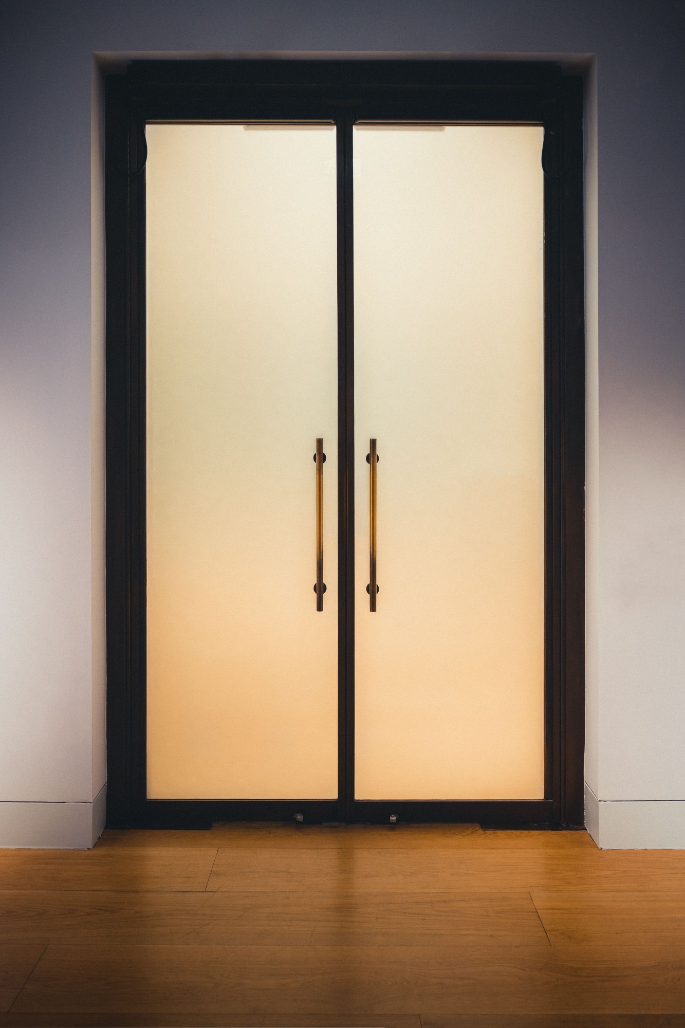 Frosted glass on doors